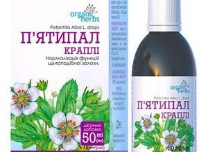 Лікувальні властивості п’ятипалу: корисні поради та застосування