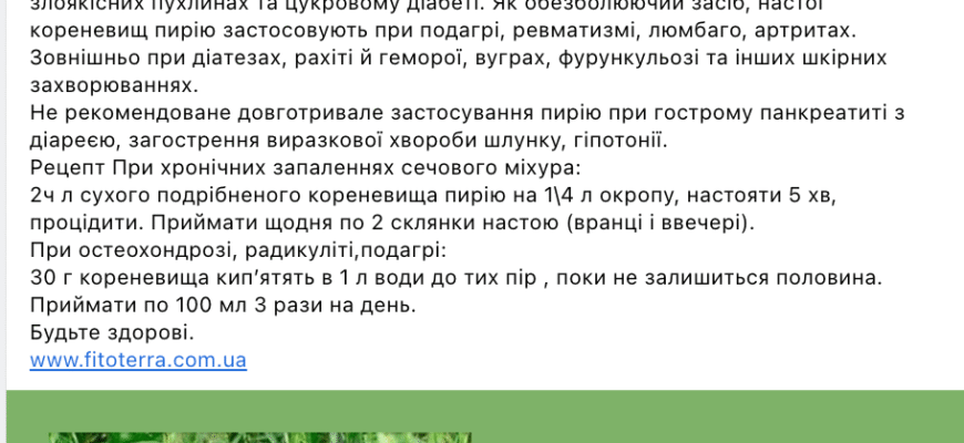 Лікувальні властивості пирію: користь та застосування в медицині