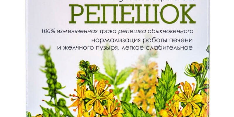 “Лікувальні властивості реп’яшка: природна допомога вашому здоров’ю”
