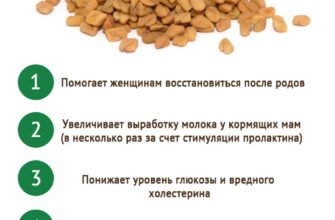 Лікувальні властивості рослини пажитник: користь для здоров’я
