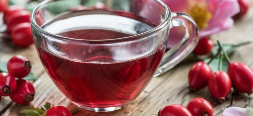 Лікувальні властивості шипшини: користь для здоров’я і секрети використання