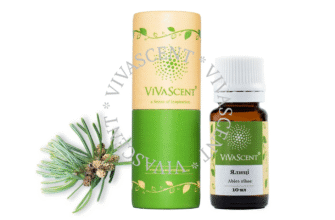 Лікувальні властивості ялицевої олії: здоров’я та натуральна терапія