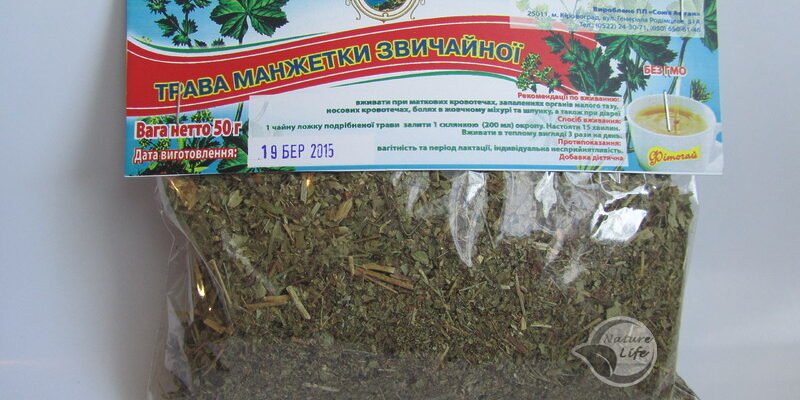 “Манжетка: Лікувальні Властивості та Застосування у Народній Медицини”