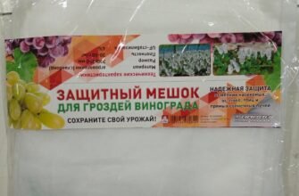 Мішечки для захисту винограду від ос: ефективне рішення для садівників