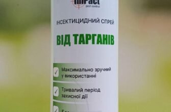 Найефективніший засіб від тарганів: обираємо кращий варіант для вас