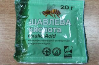 Обробка бджіл від кліща: ефективність щавлевої кислоти у боротьбі