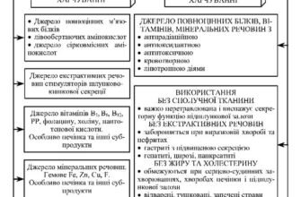 Органолептичні властивості: визначення, оцінка і застосування у харчовій галузі