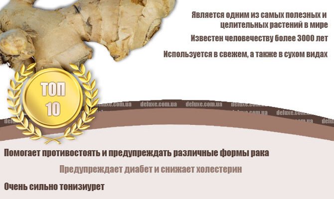 “Основні Корисні Властивості Імбиру: Здоров’я та Добробут”