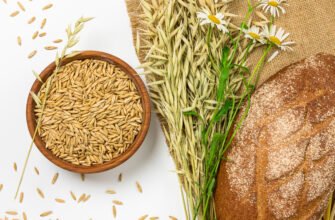 Овес: цілющі властивості та користь для здоров’я вашого організму