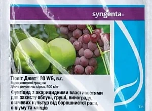 Препарати для ефективного захисту від оїдіуму винограду: обираємо разом
