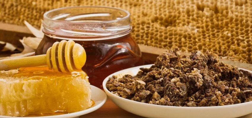 Прополіс: лікувальні властивості та застосування в медицині