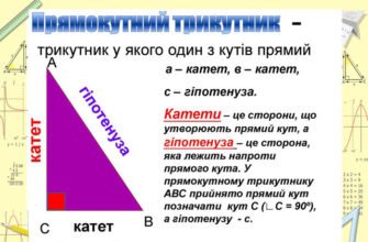Прямокутний трикутник: ключові властивості та математичні особливості