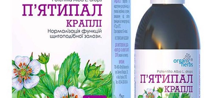 “П’ятипал: відкрийте лікувальні властивості цілющої рослини”