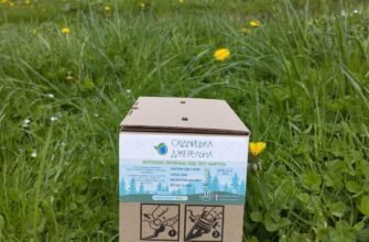 Східниця: унікальні властивості джерела 21 для вашого здоров’я