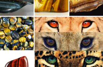 Соколине Око: Властивості Та Сила Каменю Для Вашого Здоров’я