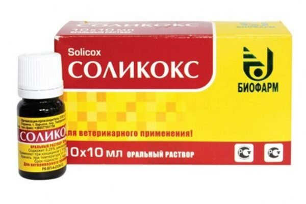 Солікокс: від чого допомагає і як правильно використовувати препарат