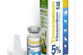 Тілозомікон: від чого з’являються і як боротися з ними ефективно