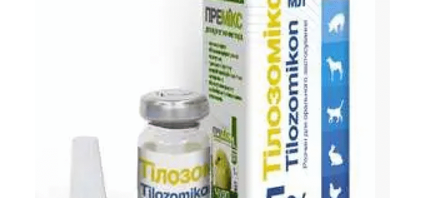 Тілозомікон: від чого з’являються і як боротися з ними ефективно