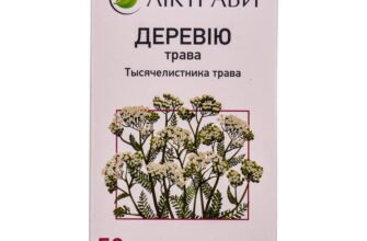 Тисячолистник: унікальні лікувальні властивості трави в народній медицині