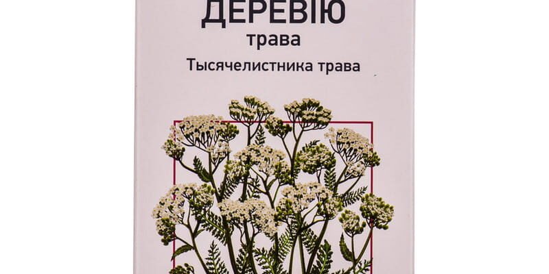 Тисячолистник: унікальні лікувальні властивості трави в народній медицині