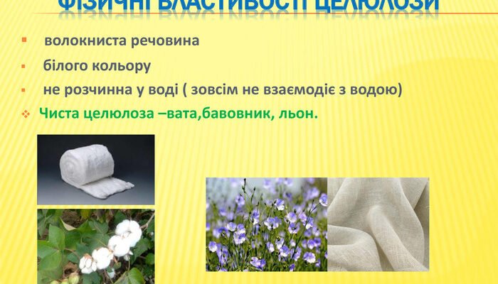 Укажіть основні фізичні властивості целюлози та їх значення для науки