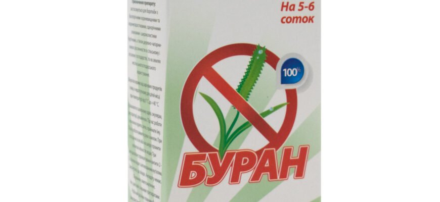 Відгуки про засіб Буран для боротьби з бур’янами: ефективність та досвід
