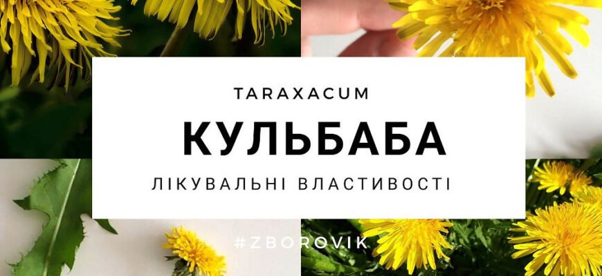 Відкрийте силу молочаю: лікувальні властивості для вашого здоров’я