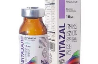 Вітазал: Від Чого Цей Препарат Допомагає Та Кому Він Рекомендований