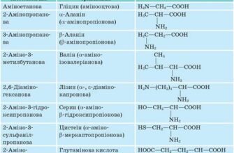Властивості амінокислот: ключові ролі та значення для організму