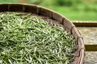 Властивості білого чаю: користь і секрети найніжнішого напою