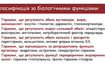Властивості гормонів: основні функції та вплив на організм людини