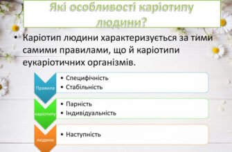 Властивості каріотипу людини: розкриваємо генетичні особливості