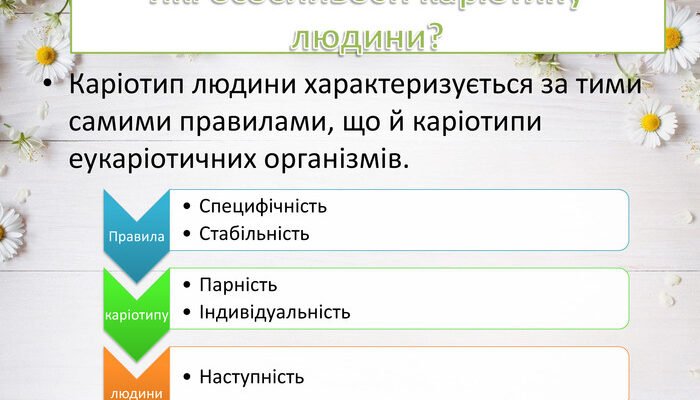 Властивості каріотипу людини: розкриваємо генетичні особливості