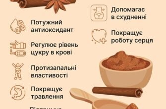 Властивості кориці: корисні якості, застосування та користь для здоров’я