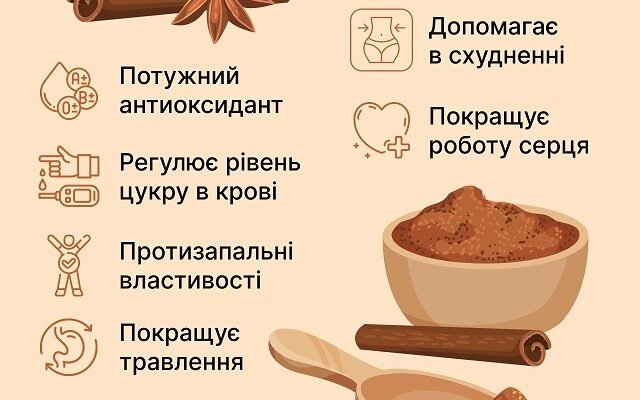 Властивості кориці: корисні якості, застосування та користь для здоров’я