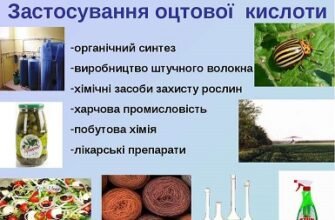 Властивості оцтової кислоти: використання та вплив на людський організм