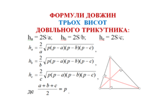 Властивості висоти: основні характеристики та їх значення для життя