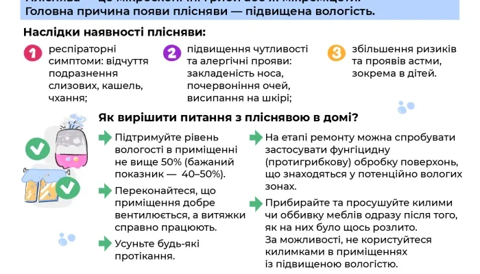 Як правильно використовувати плісняву для здоров’я та добробуту?