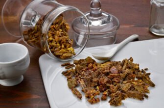 Як правильно вживати прополіс для лікування захворювань шлунка