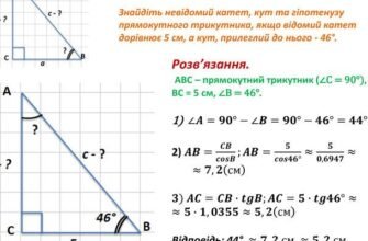 Як визначити гіпотенузу трикутника за катетом і кутом: простий метод