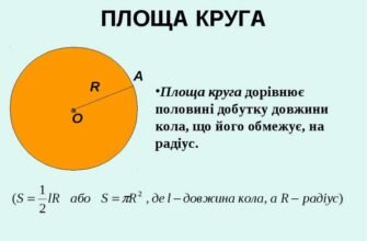 Як знайти площу круга: простий спосіб обчислення за радіусом