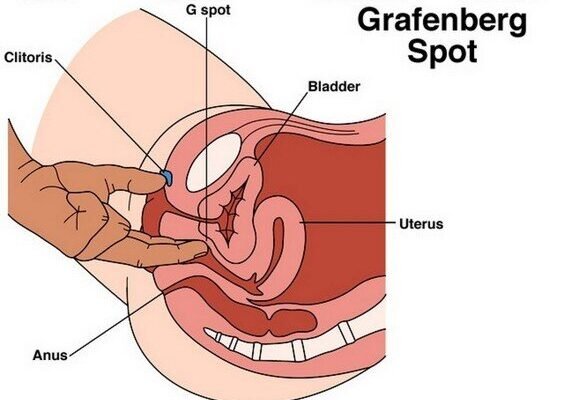 Як знайти точку G: прості поради для досягнення задоволення