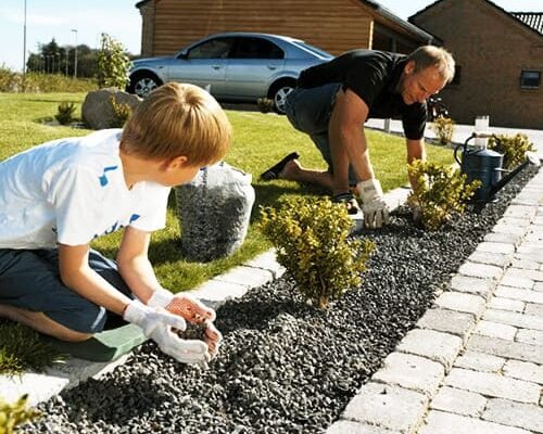 Захист ділянки від бур’янів: як обрати та використовувати геотекстиль