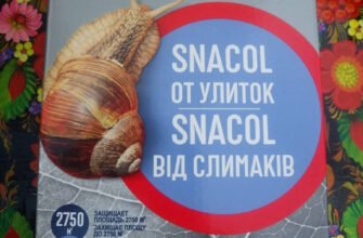 Захист рослин від слимаків: ефективні рішення з використанням Bros