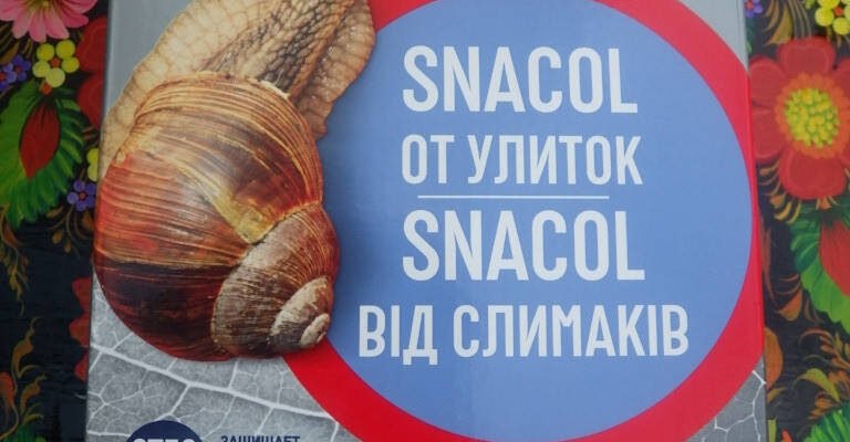 Захист рослин від слимаків: ефективні рішення з використанням Bros