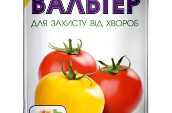 Захист від фітофтори: ефективність препарату Вальтер у садівництві