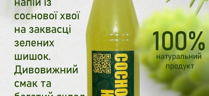 Живиця сосни: лікувальні властивості та користь для здоров’я