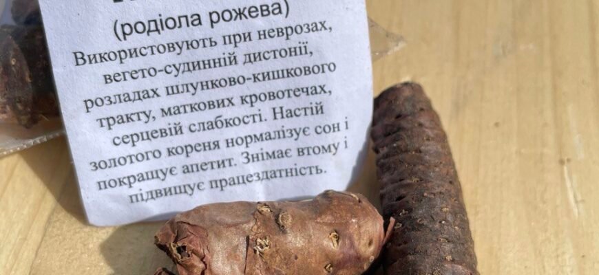 Золотий корінь: природні лікувальні властивості та користь для здоров’я