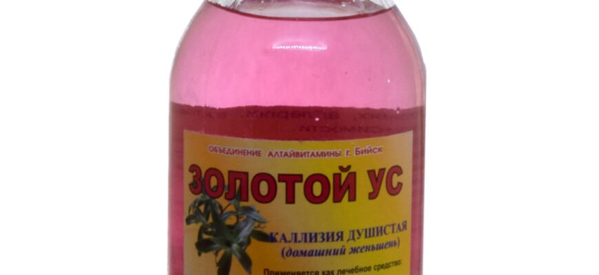 Золотий вус: цілющі властивості та ефективність у народній медицині