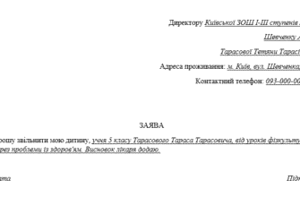 Зразок заяви від батьків на ім’я директора школи: рекомендації та приклади